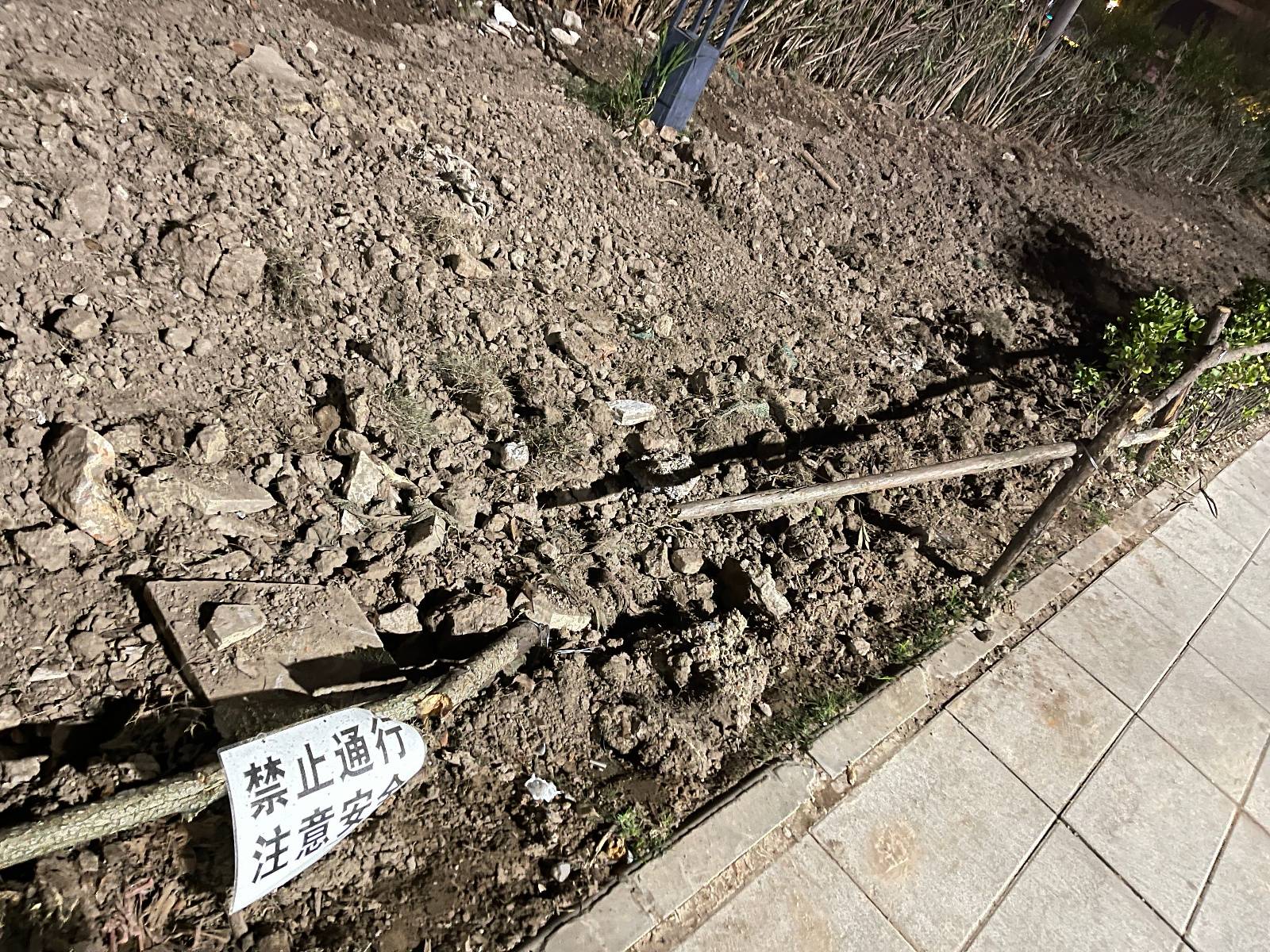 武汉市民担心小区有夹竹桃，园林部门：它降尘减噪，但汁液有毒，千万不要碰