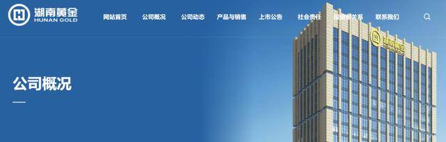 超40条金矿脉被发现，估值6000亿！金价四连涨，网友：连夜回老家……