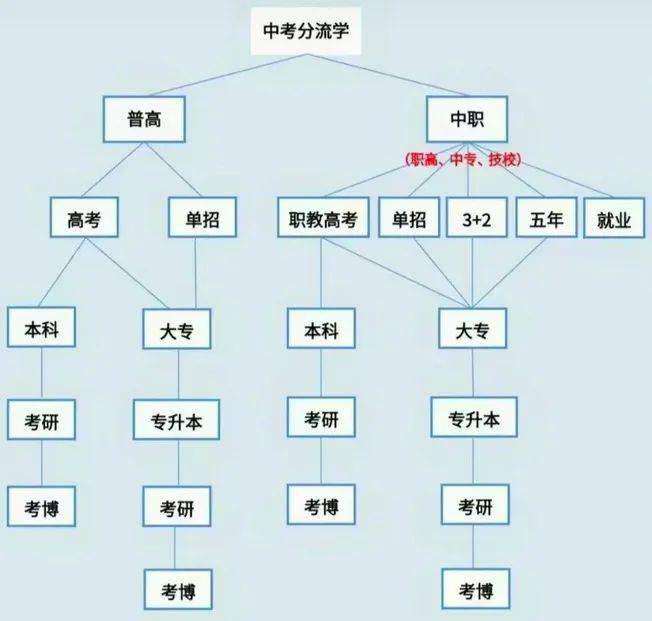 中考分流终于要取消了？国家这个重磅文件释放重要信号